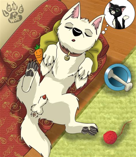 Rule 34 2009 Anus Bolt Character Bolt Film Canine Cat Disney Dog