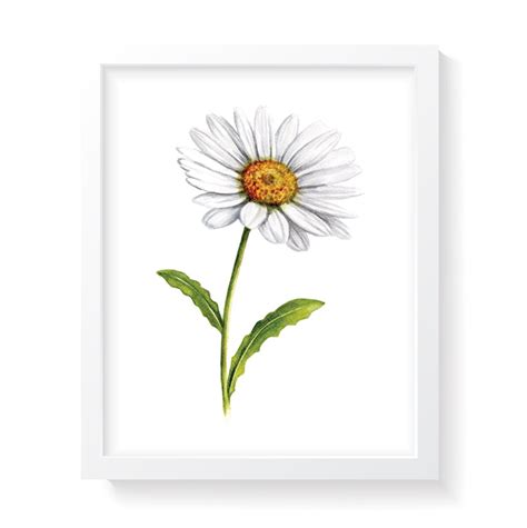 Printable Daisy Watercolor Instant Download Daisy Art Daisy