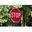 Stop Sign Or Red Light — Mallory Lollar Holt & Associates PC