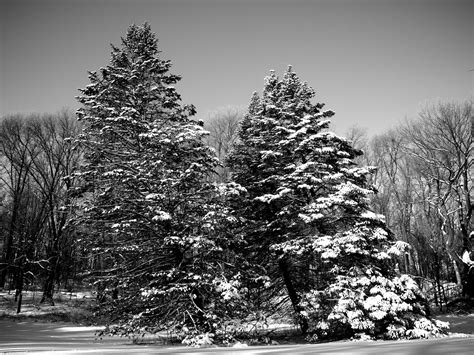 David Marvin Photography Lansing Michigan Black And White Winter