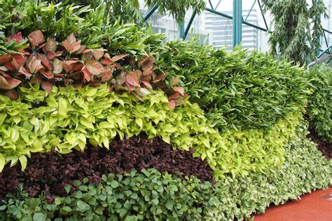 They don't take much space. Amazing Green Wall / Vertical Garden Design, for New ...