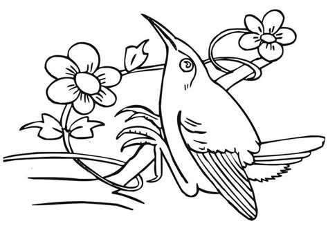 Arts and craft project with humming birds. Hummingbird Coloring Pages in 2020 | Bird coloring pages ...