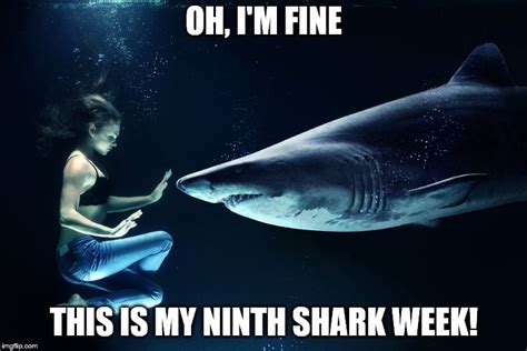 Are You A Shark Week Pro Imgflip