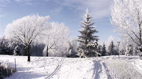 Winter Bäume Raureif Skipiste Spuren Schnee Himmel Wolken