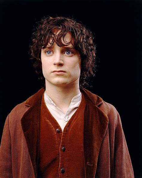 Whos Braver Poll Results Harry Potter Vs Frodo Baggins Fanpop