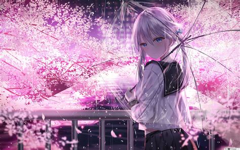 21 1080p Anime Sakura Wallpaper Download Anime Sakura