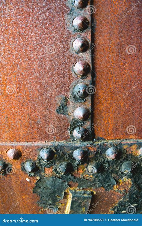 Rusted Metal Rivets Screws