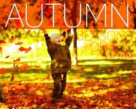 Seasons Of The Year Autumn Scholastic Shop