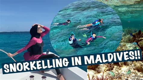 Snorkeling In Maldives Youtube