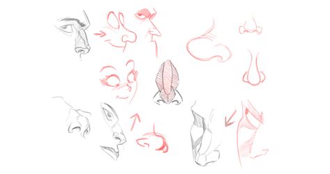 For a tutorial on how to draw a a nose from the side, see this page. how to draw cartoon nose | Nose drawing, Cartoon noses ...