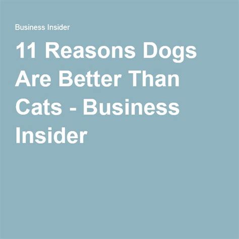 11 Scientific Reasons Dogs Are Better Than Cats Best Dogs Cats Good