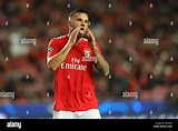 Haris Seferovic of SL Benfica in action during the UEFA Champions ...