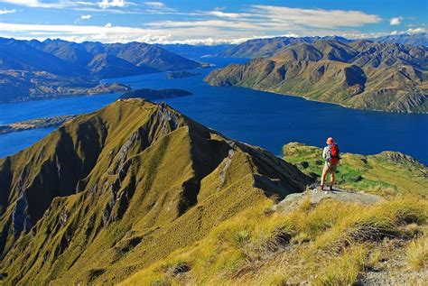 14 Stunning Landscapes Youll Only Find In New Zealand