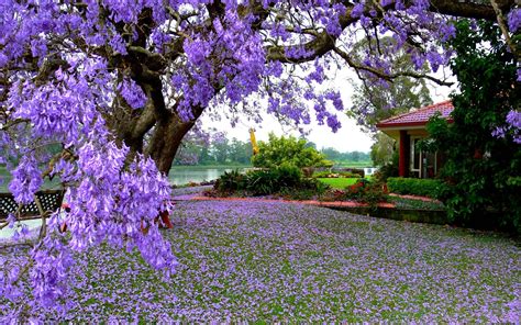 Spring Scenery Wallpaper 1080p Spring Landscape Wallpapers Top Free