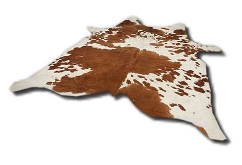 Outdoor teppich rund 1 teppich ikea adum cyberlife club compareshops24 com marken conforama dekoration teppiche m teppiche tapis marron conforama tapis 120x170 cm panpan coloris marron. Kuhfell - Musikinstrumente - einebinsenweisheit