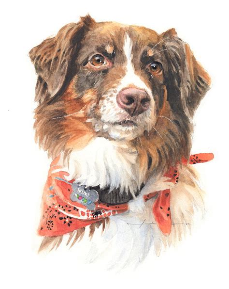 Border Collie Watercolor Portrait Painting By Mike Theuer Pixels