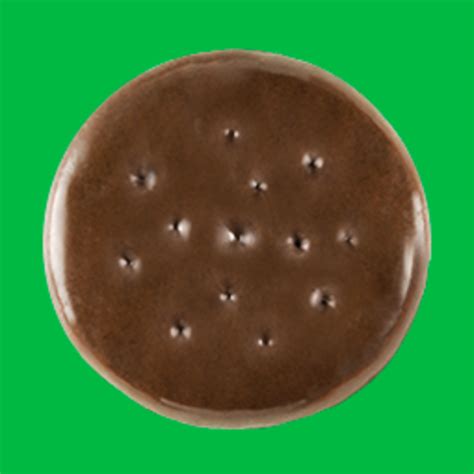 14 Best Girl Scout Cookie Flavors For 2023 Parade