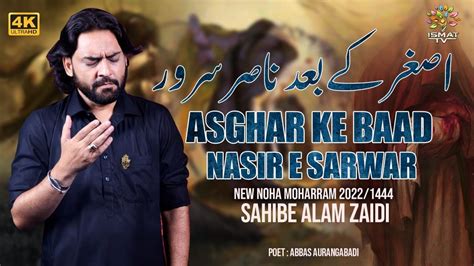 Asghar Ke Baad Nasir E Sarwar اصغر کے بعد ناصر سرور Sahib E Alam Zaidi New Noha 2022 1444