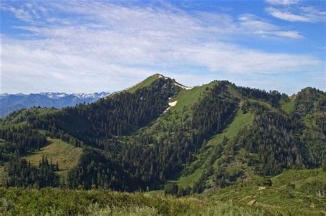 Wheeler Peak Wilderness Nm Wheeler Peak Loop