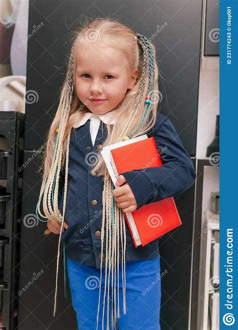 Hairstyle With Braids For A Schoolgirl Girl Stock Image Image Of Look Beauty 231774243