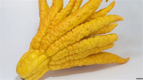 Plus, you're missing out on the essential vitamins, minerals, and fiber that your body. Check out these weird and unusual fruits - CBBC Newsround