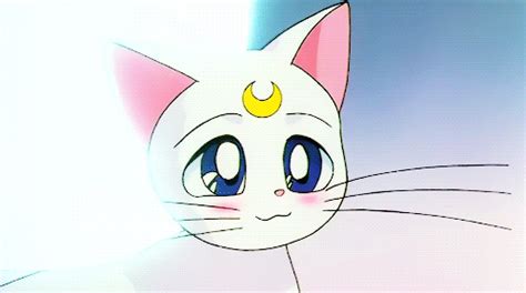 Kawaii Sailor Moon  Cool S