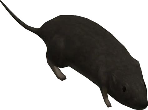 Low Poly Animals Rat From Halo 3