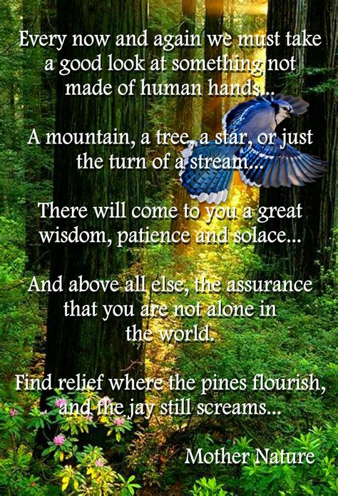 Solace In Nature Human Nature Quotes Mother Nature Quotes Father