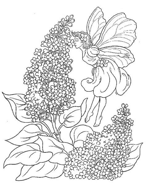 Download Lilac Flower coloring pages. Download and print Lilac Flower coloring pages