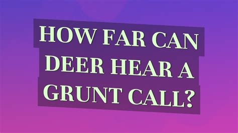 How Far Can Deer Hear A Grunt Call Youtube