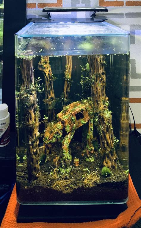 Woman Creates A Star Wars Themed Fish Tank With A Model At At