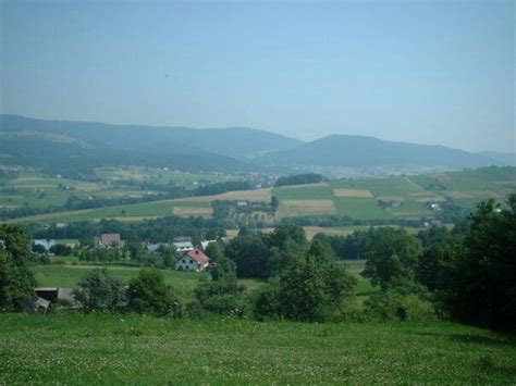 Search for hotels in limanowa with hotels.com by checking our online map. Limanowa | Holiday destinations, Poland, Dolores park