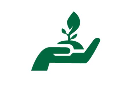 yoloportal.com offers Online Education in Pakistan, a ...