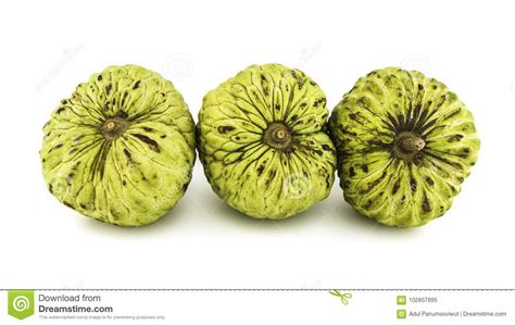 Fresh Custard Apple Or Ripe Sugar Apple Fruit Annona