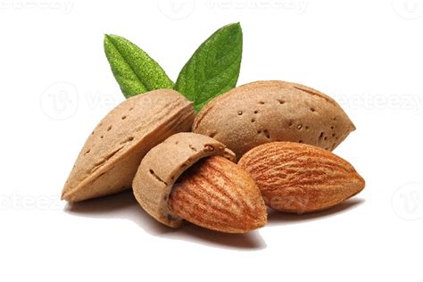 Almond Nut With Leaves 12596329 Png