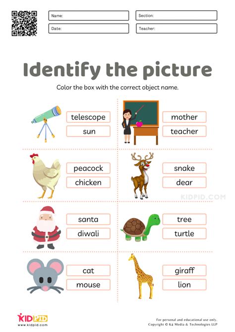 Identifying Objects Worksheets