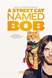Un gato callejero llamado Bob - Película 2016 - SensaCine.com