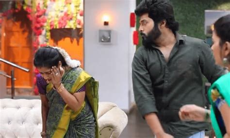 Sembaruthi Serial Today Episode 20 02 2019 Promo Review News Bugz