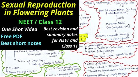 Sexual Reproduction In Flowering Plants Mind Map Neet Class 12 One Shot Video Best Revision