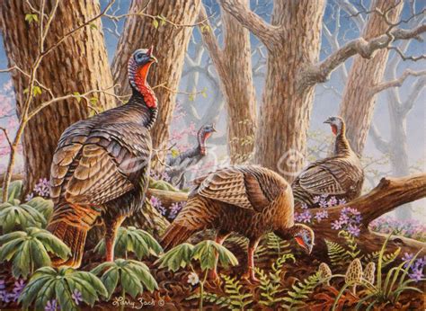 1997 national wild turkey stamp larry zach wildlife art