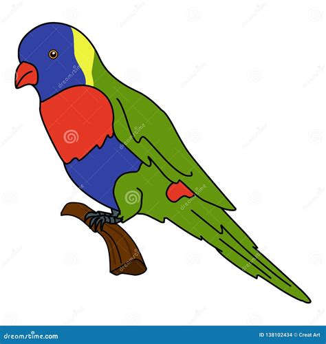 Rainbow Lorikeet Illustration Vector Stock Vector Illustration Of