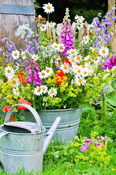 Weitere ideen zu zinkwanne bepflanzen, bepflanzung, zinkwanne. Nostalgische Gartendeko aus Zink | Zinkwanne bepflanzen ...
