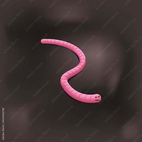 Vector Realistic Illustration Of Earthworm Stock Vector Adobe Stock