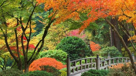 Japanese Gardens Wallpaper 77 Images