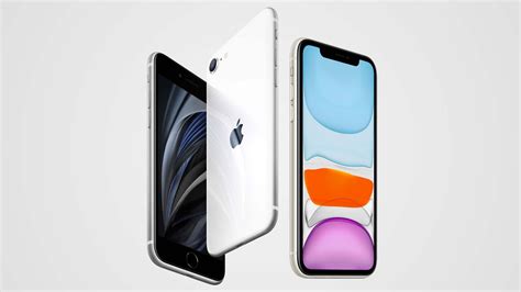 Iphone Se 2020 Vs Iphone 11 Whats Different Toms Guide