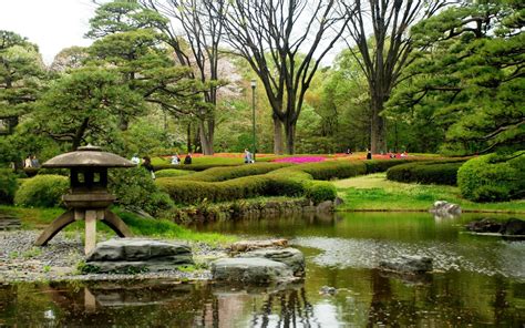 Water Japan Trees Flowers Spring Japanese Gardens Wallpaper 1920x1200