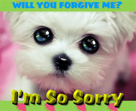 A Cute Sorry Ecard Just For You Free Sorry Ecards Greeting Cards