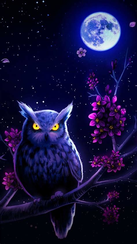 Night Sky Night Owl Wallpaper