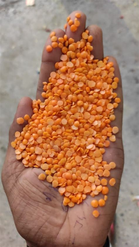 Non Branded Red Split Masoor Dal High In Protein Packaging Size