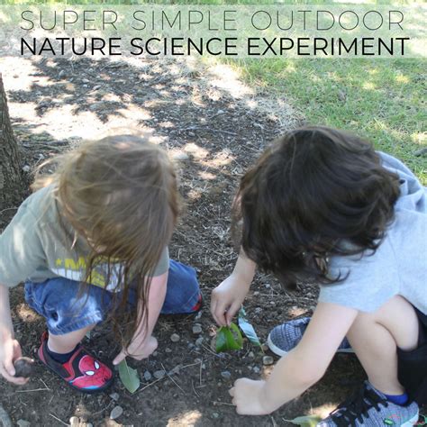 Super Simple Outdoor Nature Science Experiment